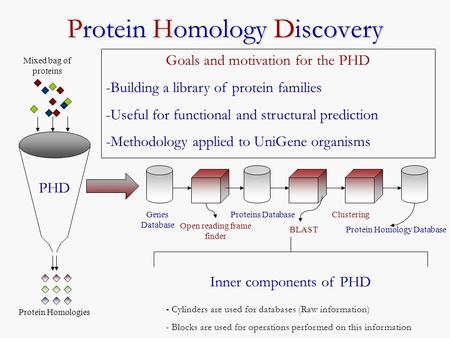 Protein Homology Discovery Mixed bag of proteins Protein Homologies PHD Genes Database Open reading frame finder Proteins Database BLAST Clustering Protein.