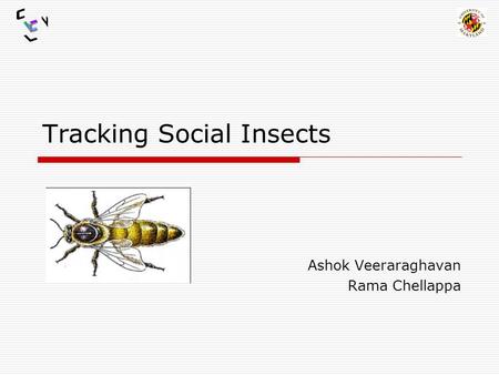 Tracking Social Insects Ashok Veeraraghavan Rama Chellappa.