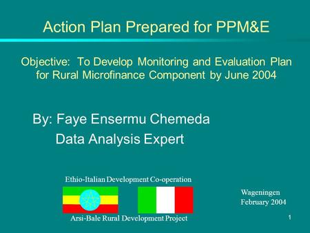 1 Action Plan Prepared for PPM&E Objective: To Develop Monitoring and Evaluation Plan for Rural Microfinance Component by June 2004 By: Faye Ensermu Chemeda.