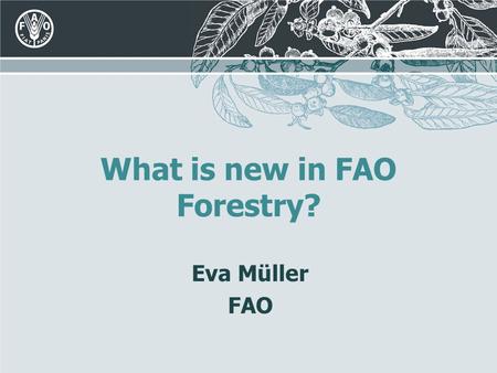 What is new in FAO Forestry? Eva Müller FAO. Content Global Forest Resources Assessment 2010 20 th Session of COFO State of the World’s Forests 2011 Communication.