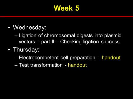 Week 5 Wednesday: –Ligation of chromosomal digests into plasmid vectors – part II – Checking ligation success Thursday: –Electrocompetent cell preparation.
