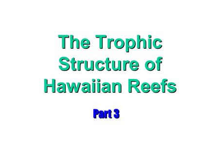 The Trophic Structure of Hawaiian Reefs Part 3. Non-Corallivore Predators fish –plankton feeders (e.g., most damselfishes and some butterflyfishes) –feeders.