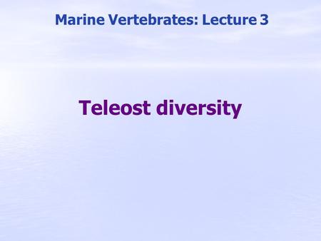 Teleost diversity Marine Vertebrates: Lecture 3. Reef Herbivores: Parrotfish Parrotfish (bottom photo, Ken Knezick)