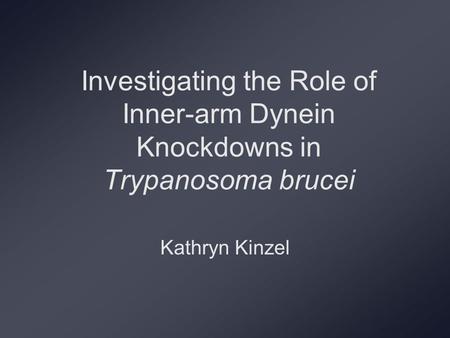 Investigating the Role of Inner-arm Dynein Knockdowns in Trypanosoma brucei Kathryn Kinzel.
