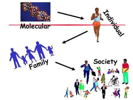 Individual Molecular Society Family.
