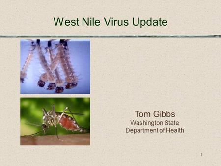 1 West Nile Virus Update Tom Gibbs Washington State Department of Health.