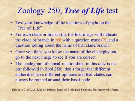 Zoology 250, Tree of Life test Test your knowledge of the locations of phyla on the “Tree of Life” For each clade or branch tip, the first image will indicate.