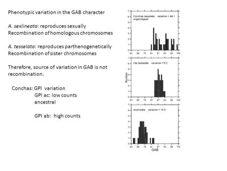Phenotypic variation in the GAB character A. sexlineata: reproduces sexually Recombination of homologous chromosomes A. tesselata: reproduces parthenogenetically.