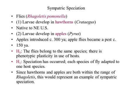Sympatric Speciation Flies (Rhagoletis pomonella) (1) Larvae develop in hawthorns (Crataegus) Native to NE U.S. (2) Larvae develop in apples (Pyrus) Apples.