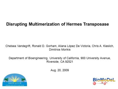 Disrupting Multimerization of Hermes Transposase
