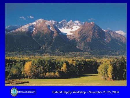 Research Branch Habitat Supply Workshop - November 23-25, 2004.