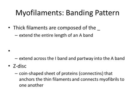 Myofilaments: Banding Pattern