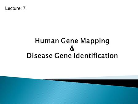 Human Gene Mapping & Disease Gene Identification