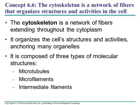 It is composed of three types of molecular structures: