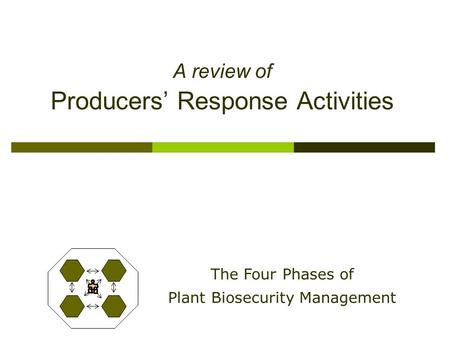 A review of Producers’ Response Activities The Four Phases of Plant Biosecurity Management.