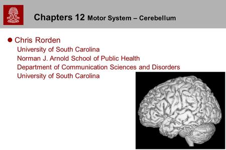 1 Chapters 12 Motor System – Cerebellum Chris Rorden University of South Carolina Norman J. Arnold School of Public Health Department of Communication.