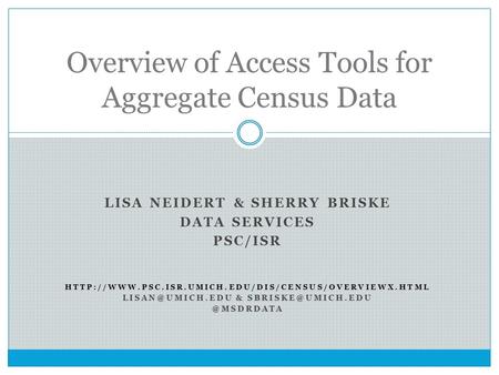 LISA NEIDERT & SHERRY BRISKE DATA SERVICES PSC/ISR