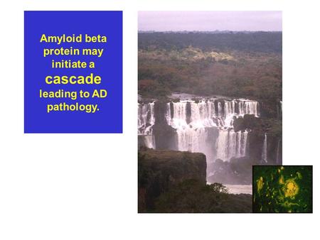 Amyloid beta protein may initiate a cascade leading to AD pathology.