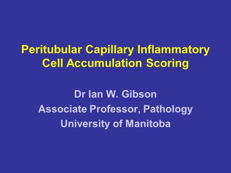Peritubular Capillary Inflammatory Cell Accumulation Scoring