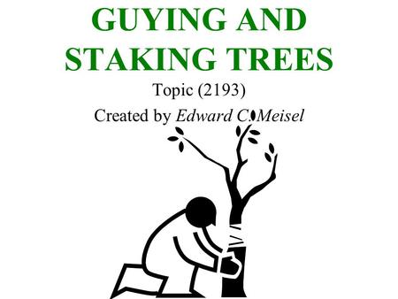 GUYING AND STAKING TREES