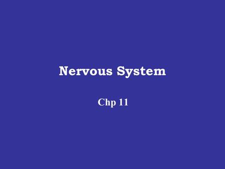 Nervous System Chp 11. Copyright © 2003 Pearson Education, Inc. publishing as Benjamin Cummings. Components of the Nervous System Figure 11.1.