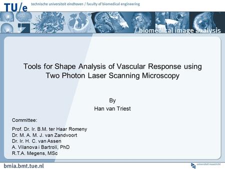 Tools for Shape Analysis of Vascular Response using Two Photon Laser Scanning Microscopy By Han van Triest Committee: Prof. Dr. Ir. B.M. ter Haar Romeny.