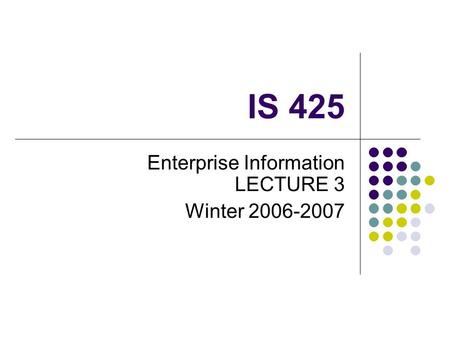 IS 425 Enterprise Information LECTURE 3 Winter 2006-2007.