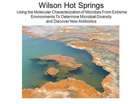 Wilson Hot Springs Using the Molecular Characterization of Microbes From Extreme Environments To Determine Microbial Diversity and Discover New Antibiotics.