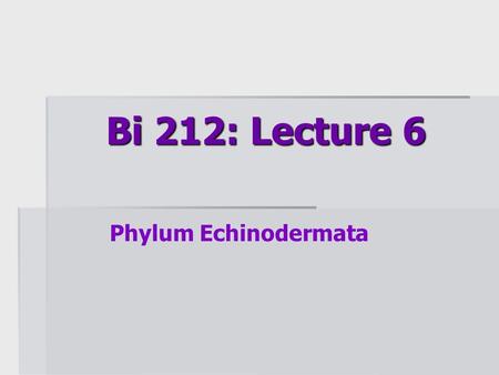 Bi 212: Lecture 6 Phylum Echinodermata.