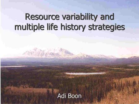 Resource variability and multiple life history strategies Adi Boon.