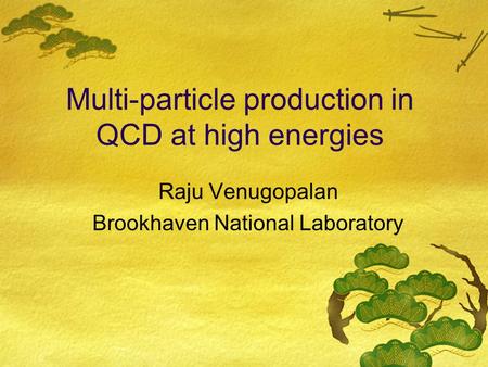 Multi-particle production in QCD at high energies Raju Venugopalan Brookhaven National Laboratory.
