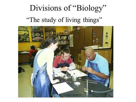 Divisions of “Biology” “The study of living things” Copyright: G.Specht2001 t.