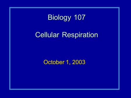 Biology 107 Cellular Respiration October 1, 2003.