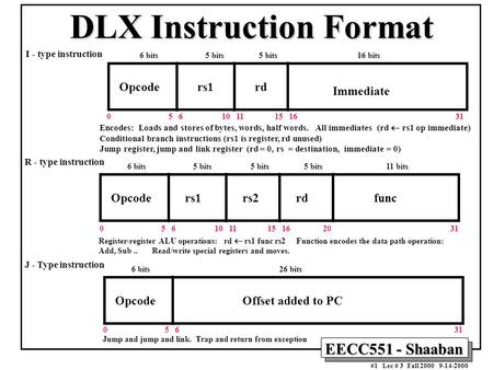 DLX Instruction Format