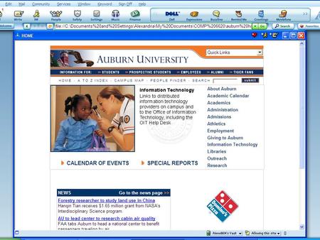 Conceptual Model Lexicon Auburn University Home Page Domino’s Icon – Auburn students, faculty, and staff can access the Domino’s.