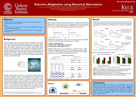 Selective Adaptation using Electrical Stimulation Devyani Nanduri 2, J. D. Weiland1,2, A. Horsager 1, M. S. Humayun 1, 2, R. J. Greenberg 4, M. J. McMahon.