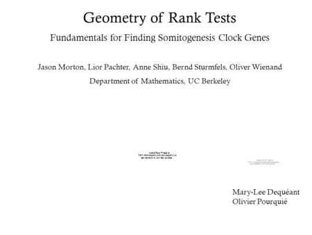 Geometry of Rank Tests Fundamentals for Finding Somitogenesis Clock Genes Jason Morton, Lior Pachter, Anne Shiu, Bernd Sturmfels, Oliver Wienand Department.