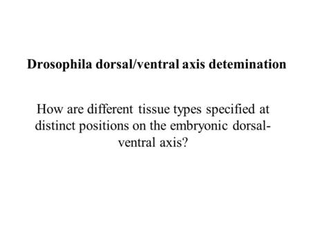 Drosophila dorsal/ventral axis detemination How are different tissue types specified at distinct positions on the embryonic dorsal- ventral axis?