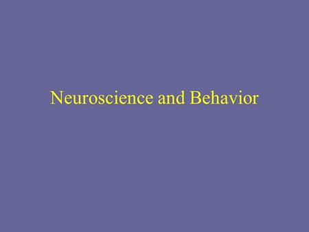 Neuroscience and Behavior. Types of Neurons SensoryMotor Interneurons.