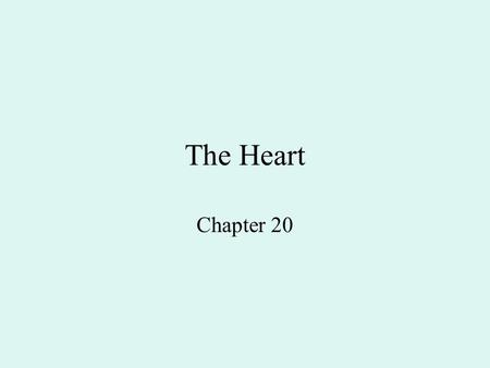 The Heart Chapter 20.