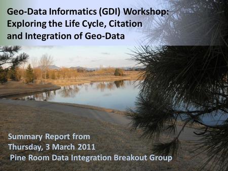 Summary Report from Thursday, 3 March 2011 Pine Room Data Integration Breakout Group Geo-Data Informatics (GDI) Workshop: Exploring the Life Cycle, Citation.