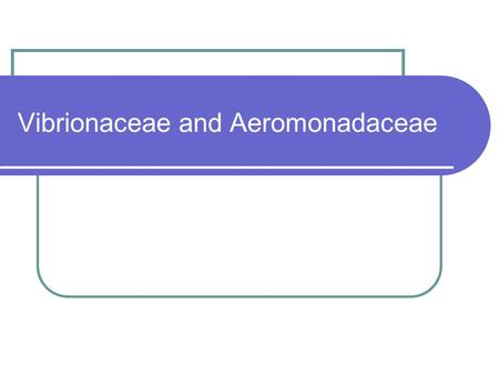 Vibrionaceae and Aeromonadaceae. Classification – contain three medically important genera Vibrio Aeromomas Pleisiomonas All members of these families.