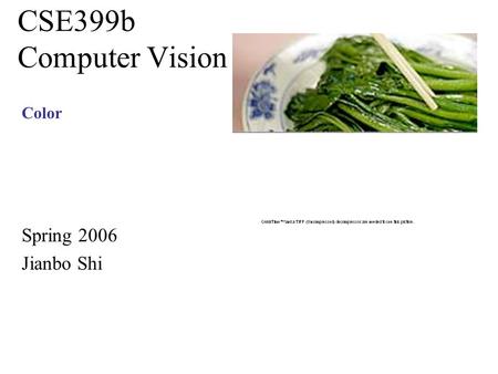 CSE399b Computer Vision Spring 2006 Jianbo Shi Color.