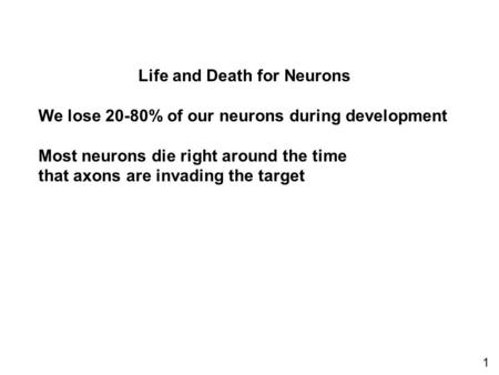 Life and Death for Neurons We lose 20-80% of our neurons during development Most neurons die right around the time that axons are invading the target 1.