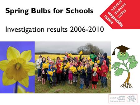Spring Bulbs for Schools Investigation results 2006-2010.
