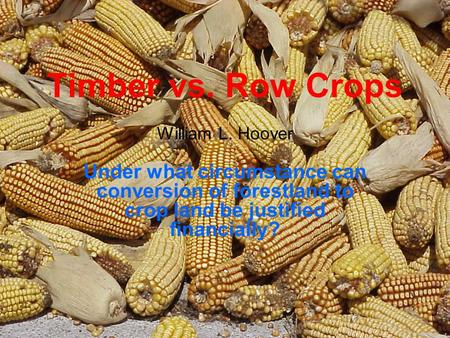 Timber vs. Row Crops Under what circumstance can conversion of forestland to crop land be justified financially? William L. Hoover.