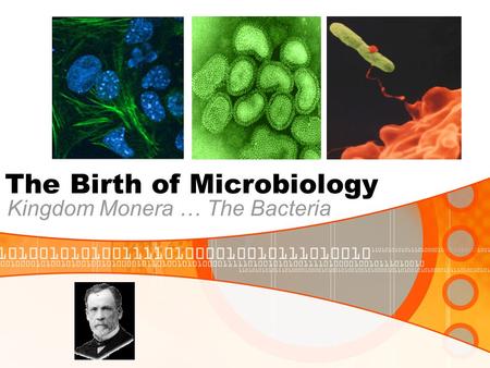 The Birth of Microbiology Kingdom Monera … The Bacteria.