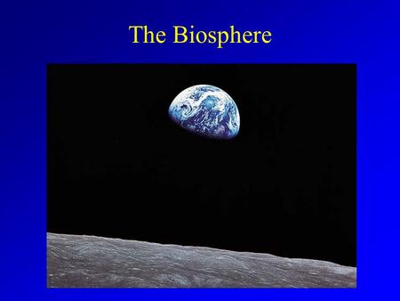 The Biosphere. Ecology Ecologists study of interactions of organisms with their environment Levels of Interaction –Organism –Population –Community –Ecosystem.