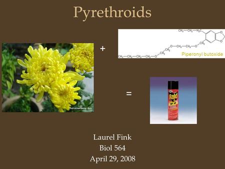 Pyrethroids Laurel Fink Biol 564 April 29, 2008 + = Piperonyl butoxide.