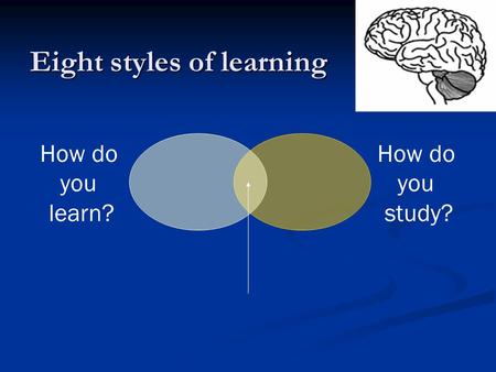 How do you learn? How do you study? Eight styles of learning.